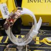 Invicta Racing Men's Model 48471 Chronograph Watch Gold Red White Silicone Band - Image 4